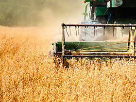 Campaña agrícola para aplicaciones líderes como New Holland, John Deere en marcas como Mann Filter y Step Filter.