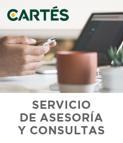 Asesoría